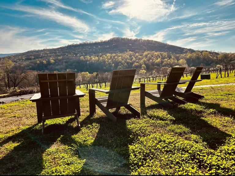 CloudTree Vineyard